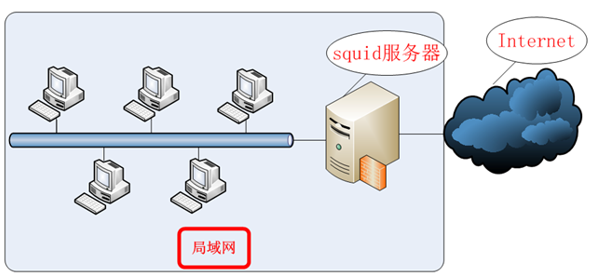 squid拓扑