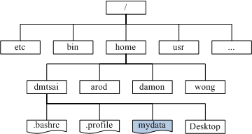 目录树相关性示意图